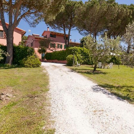 Podere Lo Stringaio Fauglia Dış mekan fotoğraf