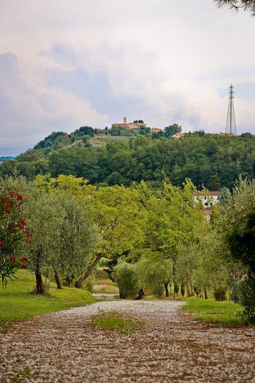 Podere Lo Stringaio Fauglia Oda fotoğraf