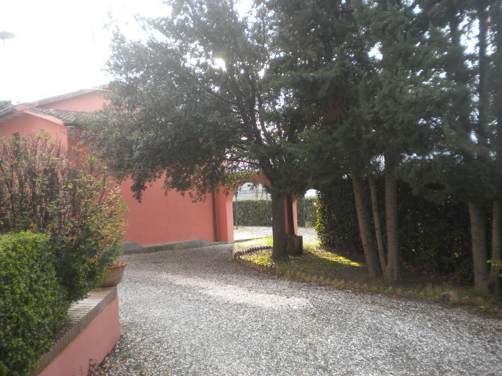 Podere Lo Stringaio Fauglia Oda fotoğraf