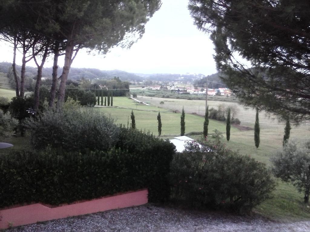 Podere Lo Stringaio Fauglia Oda fotoğraf
