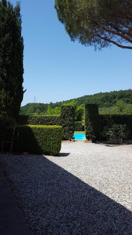 Podere Lo Stringaio Fauglia Dış mekan fotoğraf