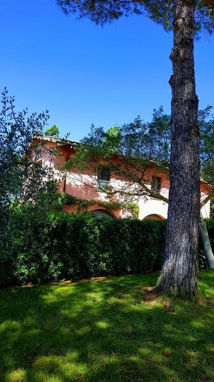 Podere Lo Stringaio Fauglia Dış mekan fotoğraf