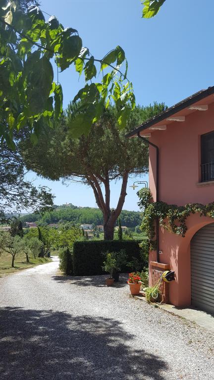 Podere Lo Stringaio Fauglia Dış mekan fotoğraf