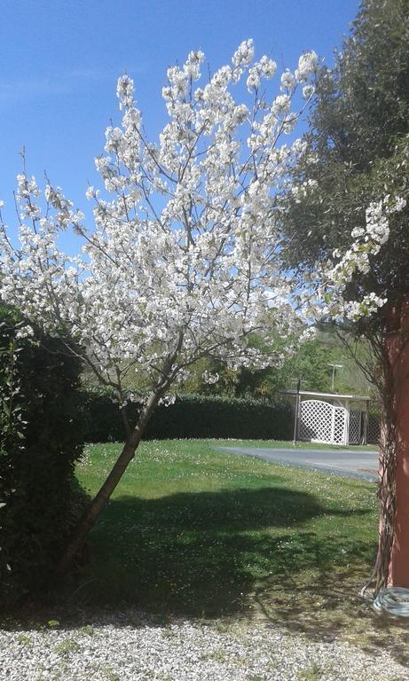 Podere Lo Stringaio Fauglia Dış mekan fotoğraf